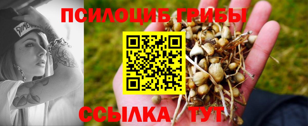 Сальск  Галлюциногенные грибы MAGIC MUSHROOMS  Вход с VPN  Галлюциногенные грибы прущие грибы 